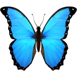 Borboleta