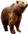 Urso